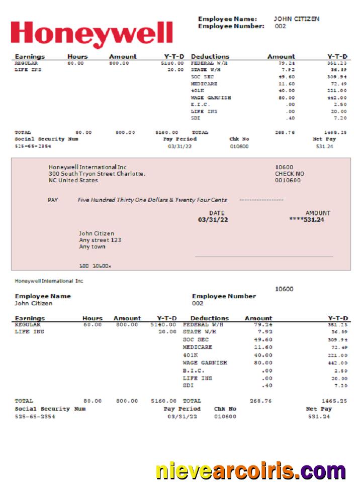 USA Honeywell conglomerate company pay stub